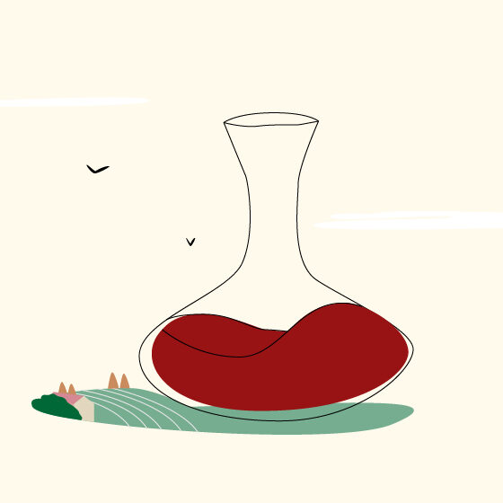 illustration carafe de vin dans la nature