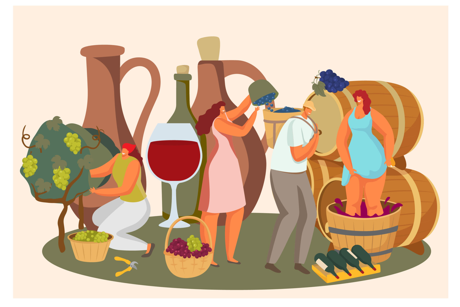 Fabrication du vin 7 étapes pour mieux comprendre ArteVino — free download