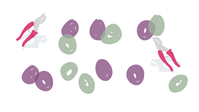 Illustration de raisins et secateurs, vendandges