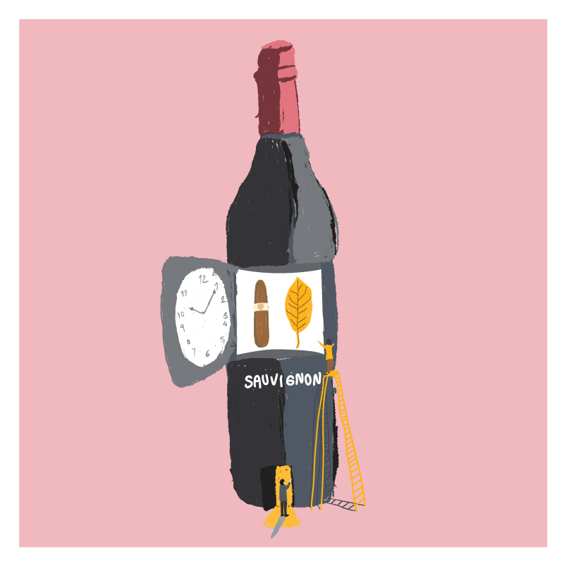 Illustration d'une bouteille de sauvignon au gout de tabac et cigare