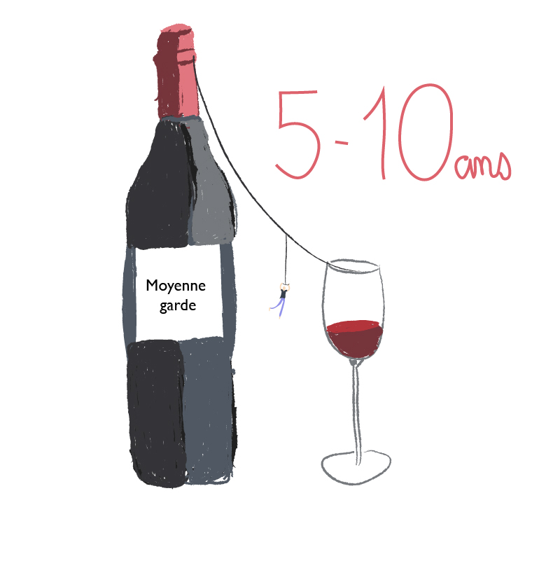 Illustration vin de garde 5 à 10 ans